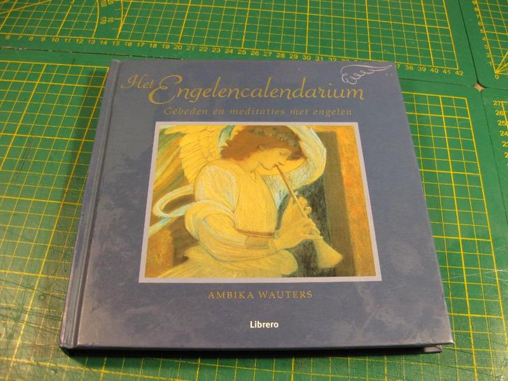 Ambika Wauters, Het Engelencalendarium, Boeken, Esoterie en Spiritualiteit, Gelezen, Overige typen, Spiritualiteit algemeen, Ophalen of Verzenden