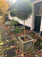 Loberon plantenbak tuin, Tuin en Terras, Bloembakken en Plantenbakken, Ophalen, Gebruikt, Minder dan 60 cm, Vierkant