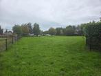 Stalgenoot gezocht, Dieren en Toebehoren, Stalling en Weidegang, Weidegang