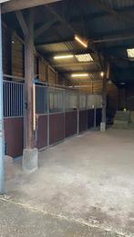 5 paardenboxen, Dieren en Toebehoren, Stalling en Weidegang, Stalling, 4 paarden of pony's of meer