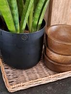 🖤 Twee Riviera Maison Dienblaadjes, Ophalen, Zo goed als nieuw, Rechthoekig, Hout