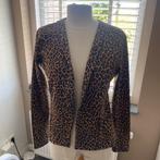 Boohoo leuke blazer, Maat 38/40 (M), Overige kleuren, Boohoo, Ophalen of Verzenden