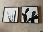 2 Ingelijste Cactus Posters - IKEA Ribba Lijst, Ophalen of Verzenden, Zo goed als nieuw, Foto of Poster, 50 tot 75 cm