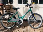 Loekie groene kinderfiets 20 inch, 16 tot 20 inch, Gebruikt, Loekie, Ophalen