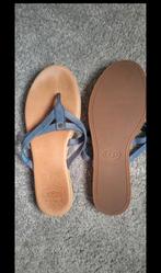 Ugg teenslippers maat 37, Kleding | Dames, Schoenen, Slippers, UGG, Blauw, Ophalen of Verzenden