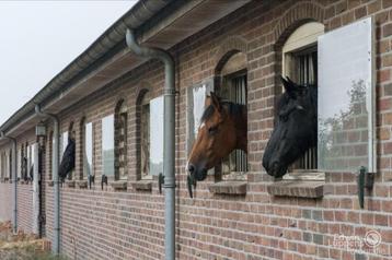 Pensionstalling aangeboden Zuidoostbeemster met binnenrijbak beschikbaar voor biedingen