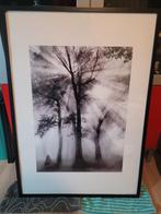 Ribba Lijst 70x100 met Print, Ophalen, Gebruikt, 75 cm of meer, 50 tot 75 cm