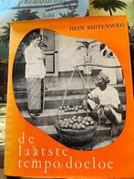 Boek: de laatste tempo doeloe, hein buitenweg, Boeken, Ophalen of Verzenden, Gelezen, Azië