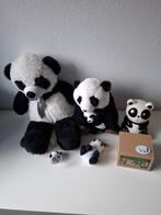 Panda pandaberen verzameling, Ophalen of Verzenden, Gebruikt