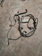 Onverknipte c20ne kabelboom met ecu, Ophalen of Verzenden