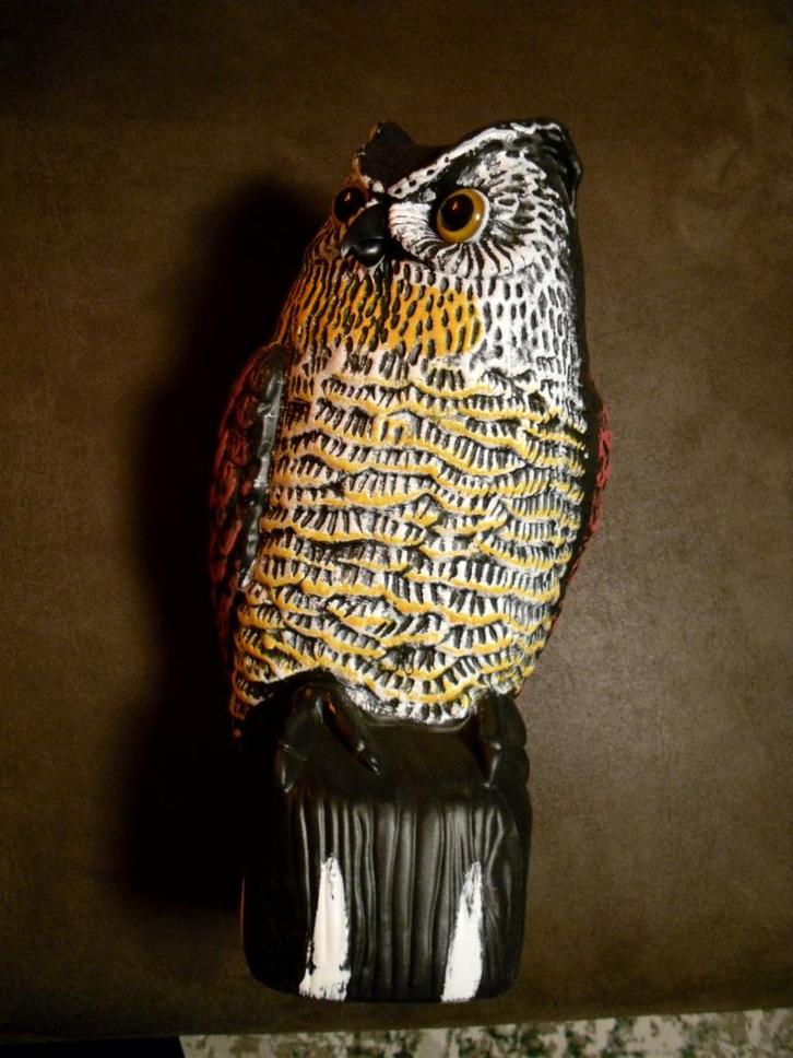 TK: Uil "vogelverschrikker" voor in de tuin., Tuin en Terras, Vogelhuisjes en Vogelbaden, Nieuw, Ophalen of Verzenden