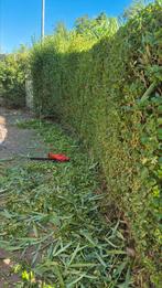 Tuinman aangeboden, Vacatures