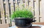 TK: plantenpot - bloempot email - pan - voor buiten, Tuin, 25 tot 40 cm, Rond, Ophalen of Verzenden