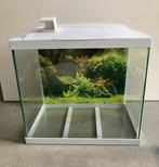 Superfish aquarium wit - Topical 50 - complete set, Dieren en Toebehoren, Vissen | Aquaria en Toebehoren, Ophalen, Zo goed als nieuw