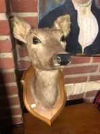 Hertenkop, Ophalen of Verzenden