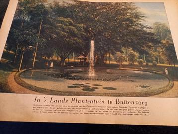 prent PLANTENTUIN BUITENZORG Nederlands-Indie SALEH 1871