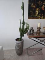 Grote Cactus met Pot - 125cm, Ophalen of Verzenden, Cactus, Volle zon, Minder dan 100 cm
