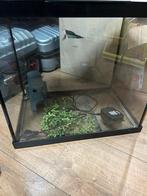 Aquarium, Dieren en Toebehoren, Ophalen, Leeg aquarium