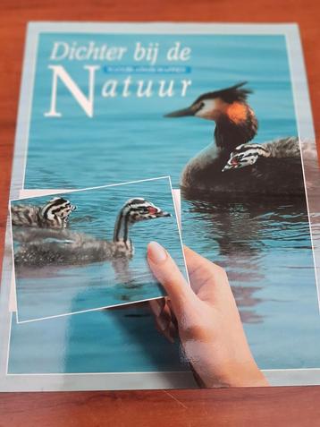 Dichter bij de Natuur - Verkade beschikbaar voor biedingen