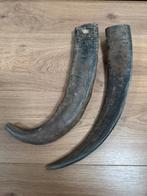 2 buffelhoorns (oud), Ophalen of Verzenden