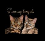 Bengaal kittens, Dieren en Toebehoren, Katten en Kittens | Overige Katten, Poes