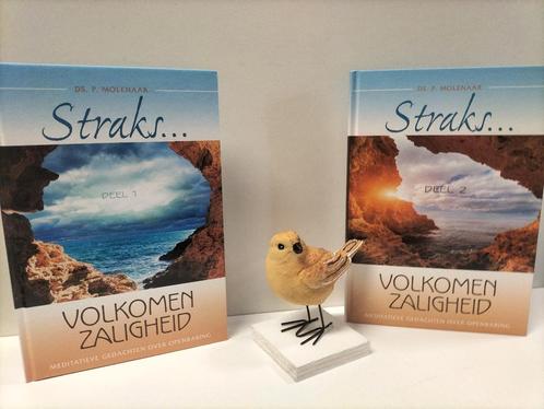Molenaar, ds. P. Straks… Volkomen zaligheid (2 delen), Boeken, Godsdienst en Theologie, Gelezen, Christendom | Protestants, Ophalen of Verzenden