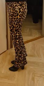 Panter flair broek, Ophalen of Verzenden, Zo goed als nieuw, Bruin, Legging