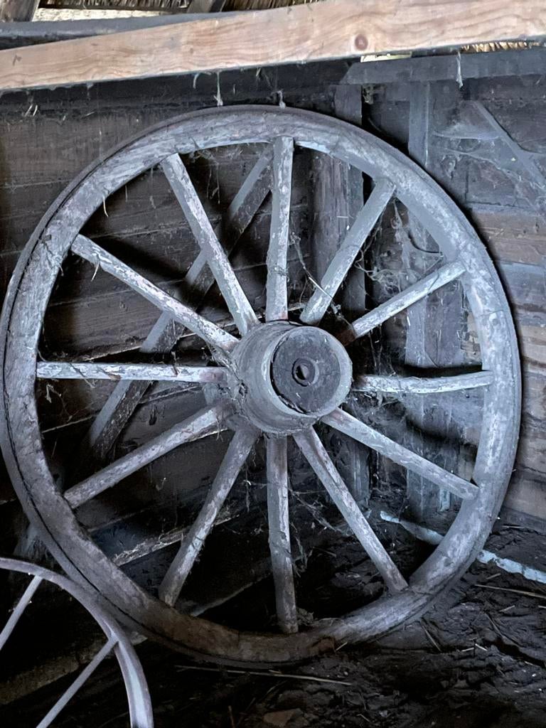 Vintage Wagenwiel - 160cm doorsnee, Antiek en Kunst, Antiek | Overige Antiek, Ophalen