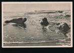 Texel - Zeehonden [003-3971, Verzenden, 1940 tot 1960, Gelopen, Utrecht