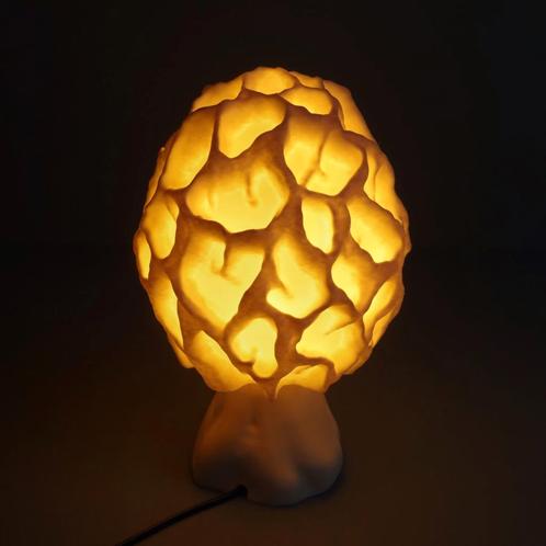 Sfeervolle tafel lamp, "Morchella Esculenta fungus", Huis en Inrichting, Lampen | Tafellampen, Nieuw, Minder dan 50 cm, Kunststof