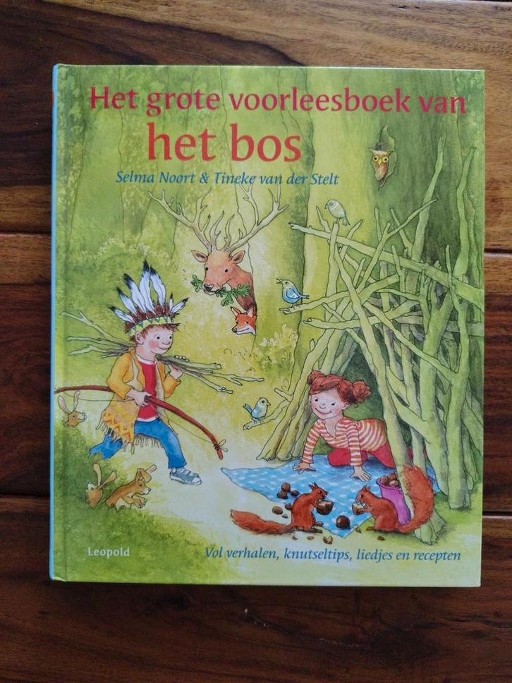 Het grote voorleesboek van het bos, Boeken, Kinderboeken | Jeugd | onder 10 jaar, Zo goed als nieuw, Fictie algemeen, Ophalen of Verzenden