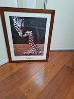 Wissellijsten, Ophalen, Minder dan 50 cm, Gebruikt, 50 tot 75 cm