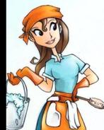 Schoonmaak huisjes gezocht den haag, Vanaf 10 jaar, Overige vormen