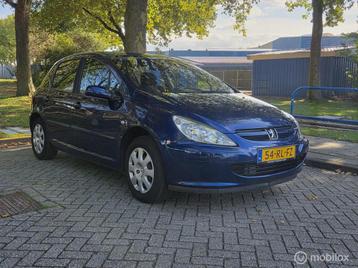 Peugeot 307 1.6-16V XT Premium beschikbaar voor biedingen