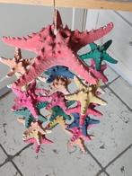 zeester hanger met 31 zeesterren, Ophalen of Verzenden, Mineraal