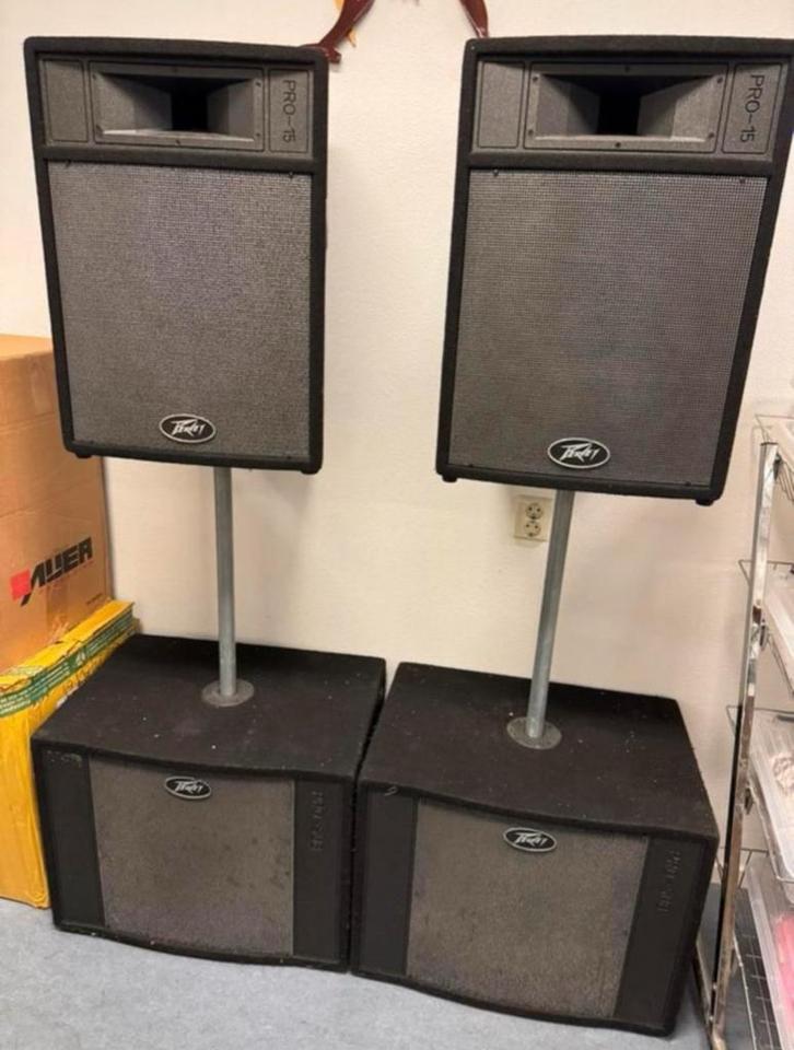 Passieve Peavy-Pro 15 set, Audio, Tv en Foto, Luidsprekers, Zo goed als nieuw, Subwoofer, 120 watt of meer, JBL, Ophalen of Verzenden