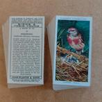 Birds & Their Young complete set 50 cigarette cards 1937, Ophalen