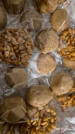 Antilliaanse lekkernij (tentalaria en panseiku), Ophalen of Verzenden