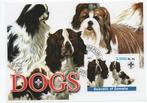 Honden, Dogs - Somalia 2003 - Gestempeld b, Verzenden, Gestempeld, Dier of Natuur