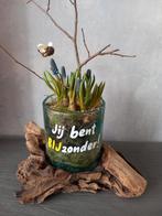 Druppelvaas op boomstronk, Overige kleuren, Nieuw, Ophalen of Verzenden, Glas