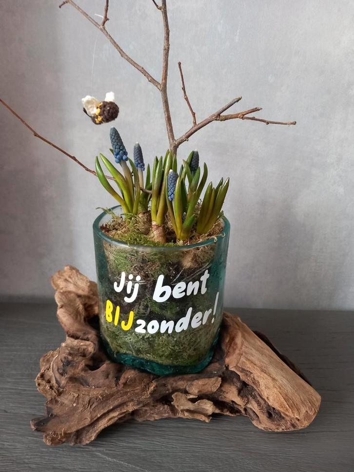 Druppelvaas op boomstronk, Huis en Inrichting, Woonaccessoires | Vazen, Nieuw, Overige kleuren, Minder dan 50 cm, Glas, Ophalen of Verzenden