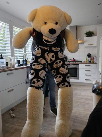 Teddybeer  beschikbaar voor biedingen