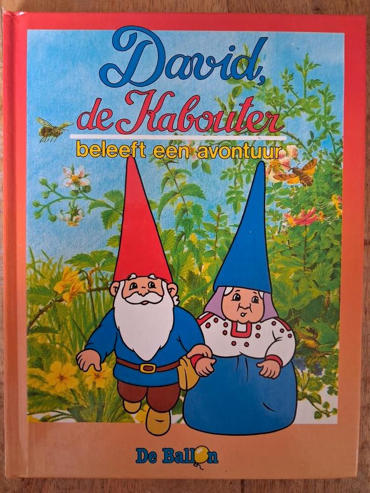 David de Kabouter beleeft een avontuur, Boeken, Kinderboeken | Jeugd | onder 10 jaar, Ophalen of Verzenden