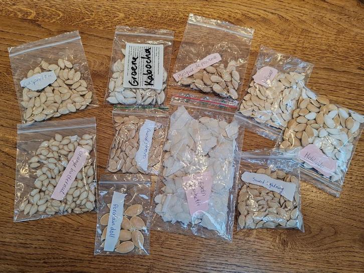 Pompoen zaden, Tuin en Terras, Bloembollen en Zaden, Zaad, Voorjaar, Volle zon, Ophalen of Verzenden