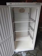 Jumbo koelkast horeca, Ophalen of Verzenden, 90 cm of meer, 160 cm of meer