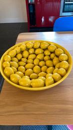 Citroenschaal Des Pots, Huis en Inrichting, Geel, Aardewerk of Porselein, Ophalen of Verzenden, Zo goed als nieuw