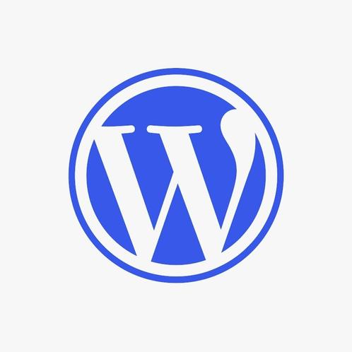 WordPress Onderhoud in Den Haag, Boeken, Informatica en Computer, Nieuw, Internet of Webdesign, Ophalen of Verzenden