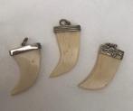 zilveren hanger met echt been (dierenklauw ) vintage, Ophalen of Verzenden, Zo goed als nieuw, Zilver, Zilver