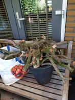 Stookhout gratis, Ophalen