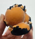 Thomsoniet uit India, Ophalen of Verzenden, Mineraal